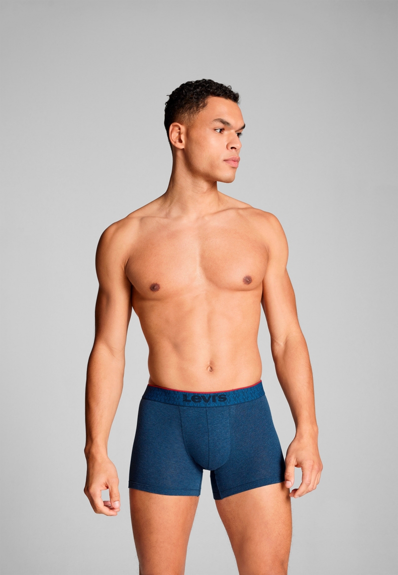 Ανδρικό Boxer Σετ 2τμχ LEVI'S Boxer Brief 104-701229537